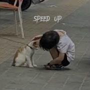 Крепость Дайте Танк Speed Up