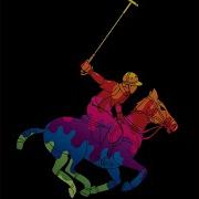 Polo Racing Guitar