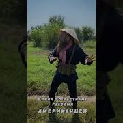 Вьетнам Мем