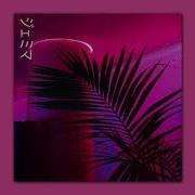 Lush Life Slowed Version Zara Larsson