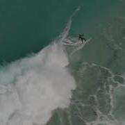 Salt Tree Out Of The Water