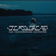 Alok Jungle