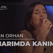 Sen Uzaklarda Değil Damarımda Kanımsın