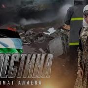 Патимат Алиева Палестина