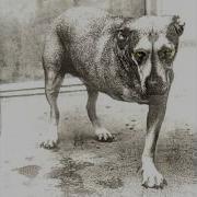 Alice In Chains Альбомы