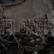Ledy Gaga Monster Remix
