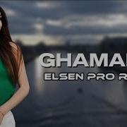 Elsen Pro2024