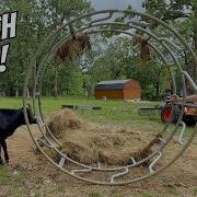 Rodeo