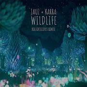 Wildlife Kolidescopes Remix