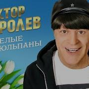 Белые Тюльпаны