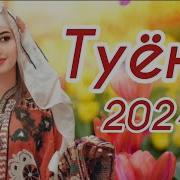 Туена 2024