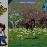 Harvest Moon A Wonderful Life Special Edition 14