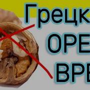Он Любит Мёд И Грецкие Орехи