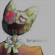 333 Bravocat