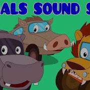 Animals Sound Song Car Rhyme Songs For Kids