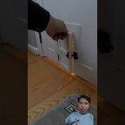 Gayadogi