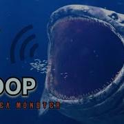 Bloop Sound Effect