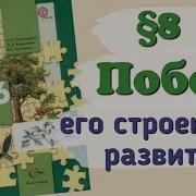 Биология 6 Класс Пономарёва 8 Параграф