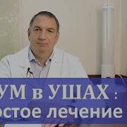 Белый Шум Для Лечения Тиннитуса