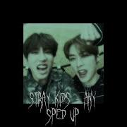 Any Stray Kids Speed Up