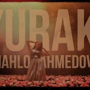 Shahlo Ahmedova Yurak Mp3