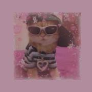 Chiwawa By Wanko Ni Mero Mero Speed Up