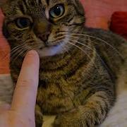 Sneaky Fingers