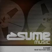 What You Want Baby Tonic Tunes Chris Gallo Remix