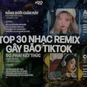 Tiktok Remix 2023