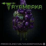 Tryambaka Darkness