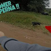 Cachorro Estourou A Corrente E Me Atacou Na Moto