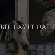 Sara Bil Layli