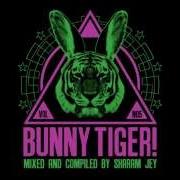 Sharam Jay Jump Up