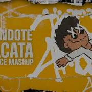 Tacata X Mirandote
