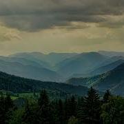 In Or Out Telecasted