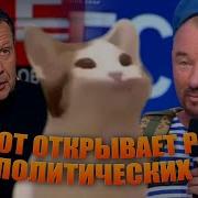 Pop Cat Озвучки