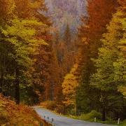 Beautiful Instrumental Music
