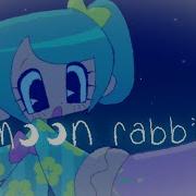 Snail S House Moon Rabbit