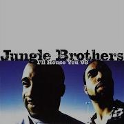 Jungle Brothers I Ll House You Remix