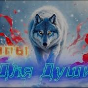 Услышишь Вой Среди Ветров Клипы Для Души Жара Топ Music Videos