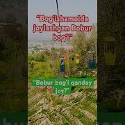Bogishamol