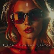 Liana Ночной Цветок