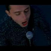 Звери Напитки По Крепче Drakonchik 1995