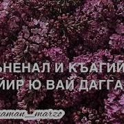 Красивые Слова На Чеченском Свекрухе От Снохи
