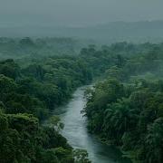 Ash Paradise Just Lean Back