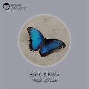 Ben C Kalsx Persépolis