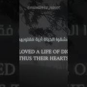 عشقوا الحياة ابية فقلوبهم