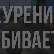 Game Show Не Кури