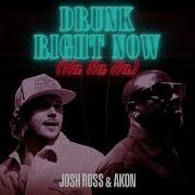 Drunk Right Now Na Na Na Josh Ross And Akon
