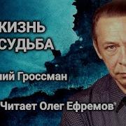 Жизнь И Судьба Аудиокнига